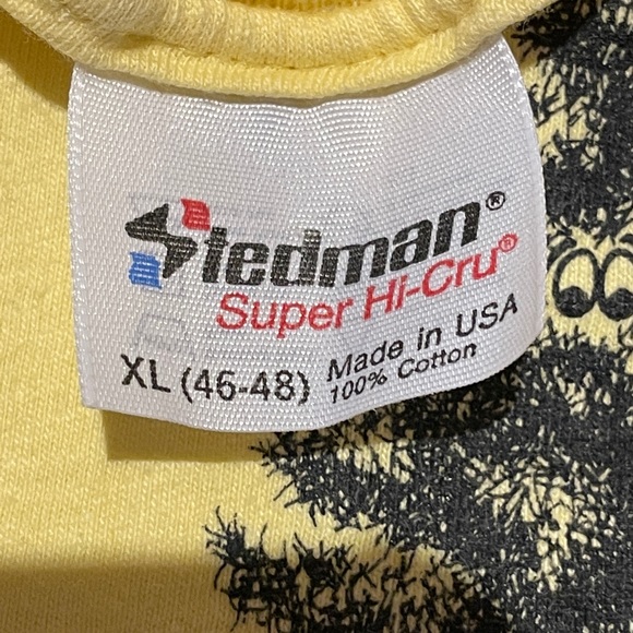 Vintage Adirondacks Tourist Tee - Picture 4 of 5